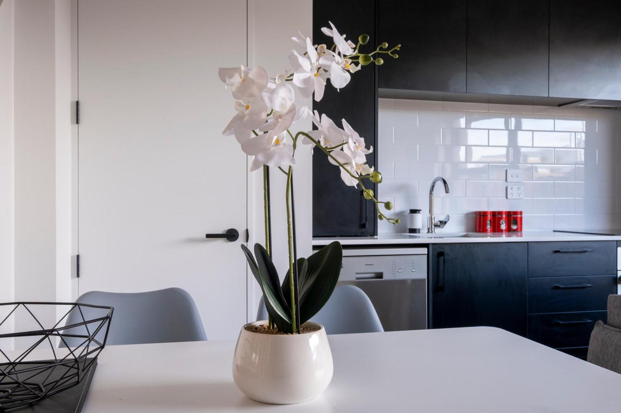 Luxury 2 Bed Townhome In Cbd Christchurch Exteriér fotografie